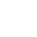 Logo white